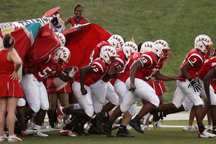 米兰体育平台-中国足球锋线组合类型及适配性,中国足球锋线组合类型及适配性是什么